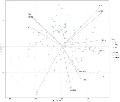 Non-structural carbohydrate concentrations in tree organs vary across biomes and leaf habits, but are independent of the fast-slow plant economic spectrum